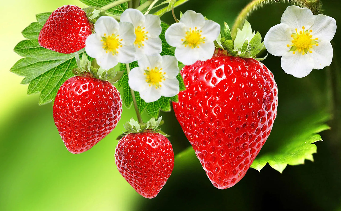 Juicy Strawberry (per 1lb)