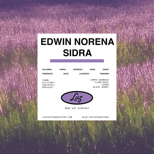 Edwin Norena Sidra