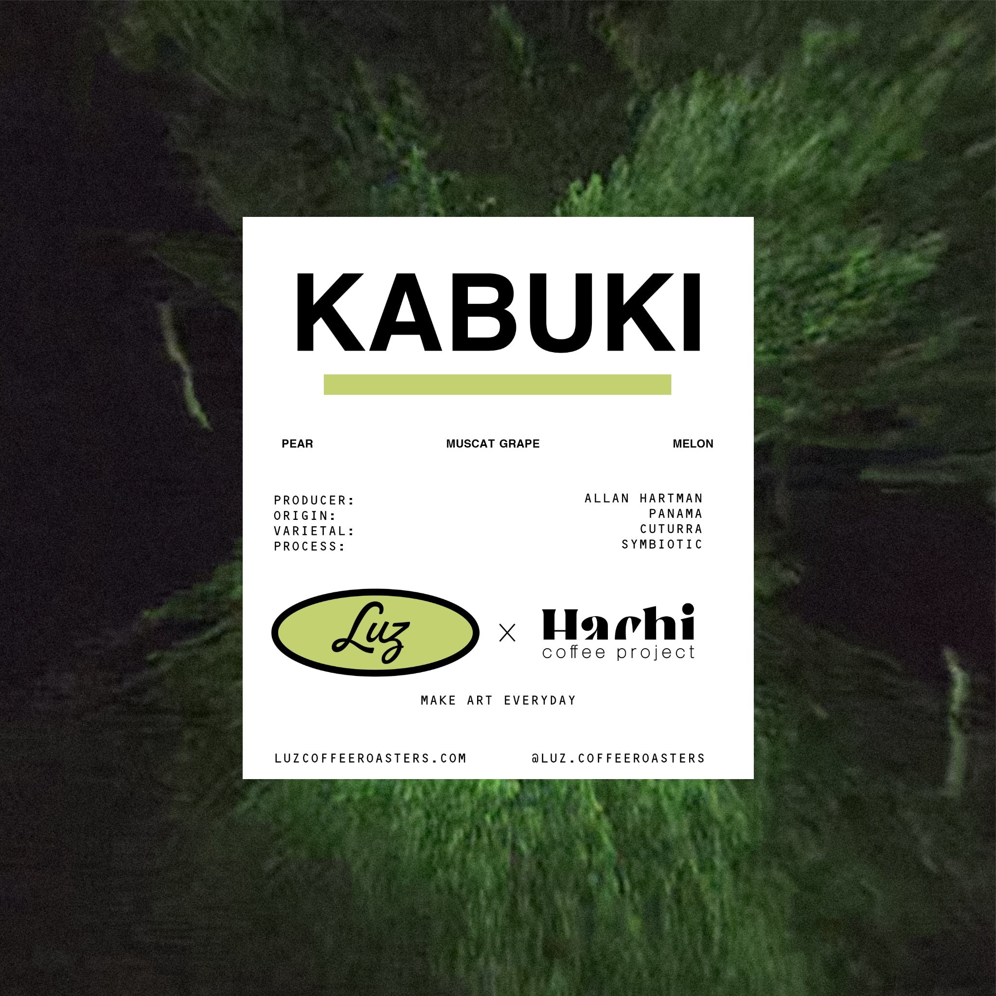KABUKI – LUZ