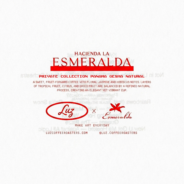 Panama Esmeralda Private Collection Geisha Natural 125g