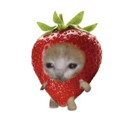 STRAWBERRY CO.