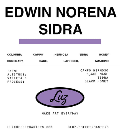 Edwin Norena Sidra