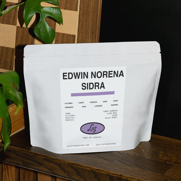 Edwin Norena Sidra